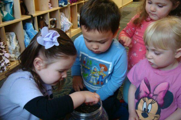 Worms, worms, worms!