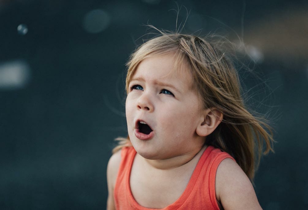 Ouch He Bit Me! 3 https://unsplash.com/photos/iZGS8A1JV5Y