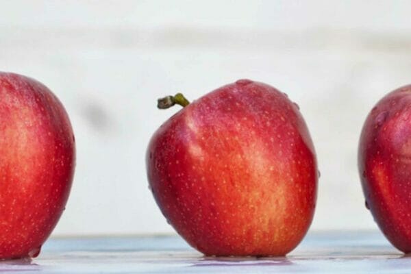 New menus coming this summer!