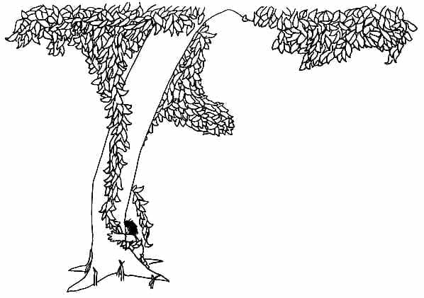 10 Things Shel Silverstein’s The Giving Tree Taught Us (Besides Giving, That Is) 2 10 Things Shel Silverstein’s The Giving Tree Taught Us (Besides Giving, That Is)
