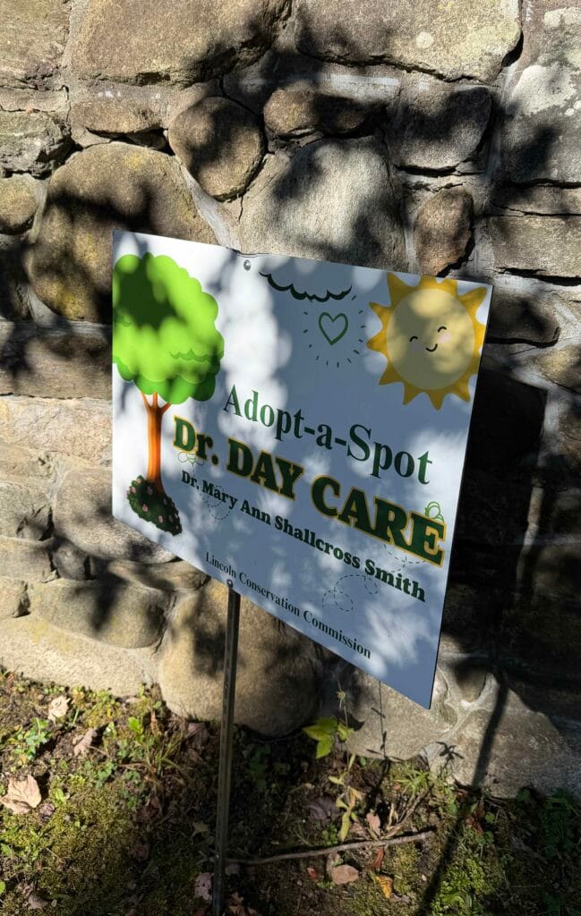 Evans Park fall clean up